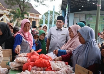 Bantu Pemenuhan Kebutuhan Pokok Masyarakat Bintan, Roby Tinjau Kegiatan Pasar Murah