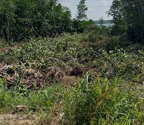 Polisi Terus Selidiki Kawasan Pembangunan Tambak Udang Tanpa Dokumen Izin
