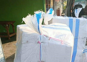 Tanpa Dokumen, Bea Cukai Amankan Obat-obatan untuk Apotek di Pulau Bintan