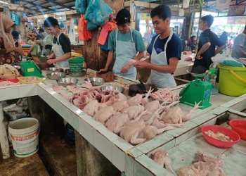 Harga Daging Ayam dan Daging Sapi di Tanjungpinang Diprediksi Stabil Selama Idul Adha 2024