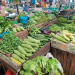 Jelang Idul Adha, Harga Komoditas Sayur dan Bumbu Dapur di Tanjungpinang Terpantau Stabil