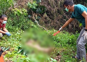 Dipenuhi Belatung, Penjaga Mini Zoo Kijang Ditemukan Tewas di Semak Belukar