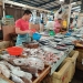 Harga Ikan Pasar Bincen Mulai Stabil, Namun Daya Beli Kosumen Menurun