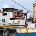 Siapkan Pengganti, Dua Kapal RoRo yang Beroperasi Tanjunguban Batam Masuk Docking