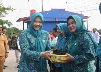 Ikut Membagikan Bibit Cabai, PKK Tanjungpinang Dukung Ketahanan Pangan