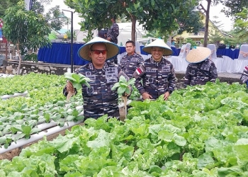 Pangkoarmada I Panen Raya di Lahan Ketahanan Pangan Lanal Karimun, ini Pesannya
