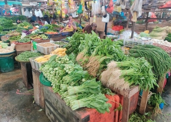 Memasuki Musim Hujan, Harga Bumbu Dapur dan Sayuran di Tanjungpinang Masih Stabil
