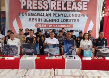 Penyelundupan Benih Lobster di Pulau Numbing Benilai Rp15,1 Miliar Digagalkan