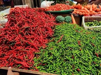 Jadi Penyumbang Inflasi di Tanjungpinang, Pemko akan Pasok Cabai dari Bintan