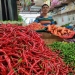 Pengaruh Cuaca, Harga Cabai Pasar Bincen Merangkak Naik