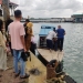 Pergerakan Penumpang Menuju Penyengat Alami Lonjakan, Puncaknya Capai 45 Trip