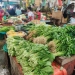 Cuaca Buruk Pasokan Minim, Harga Sayur di Pasar Bincen Naik hampir 2 Kali Lipat