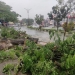 Hujan Lebat dan Angin Kencang, Pohon Besar Tumbang di Batu 9