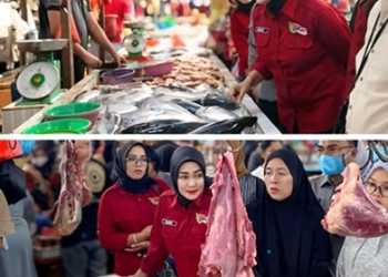 Tinjau Bahan Pokok Jelang Lebaran, Riany Sebut Stok Aman dan Harga Naik Tidak Signifikan